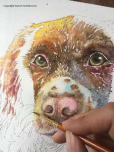 Read more about the article How I start an animal painting by Artist Sophie