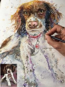 Read more about the article Spaniel dog commission painting by Artist Sophie