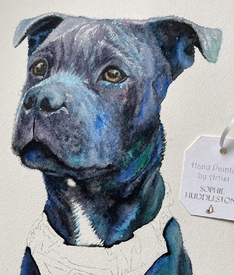 painting animals from photos, pet commissions painted by burbage artist sophie